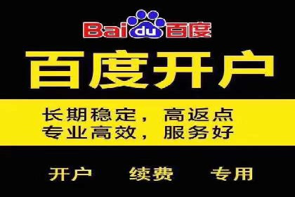 SEM服务案例：提升品牌曝光